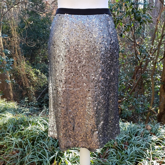 NIC+ZOE Twinkle Night Silvery Sequin Skirt Size 2 New - Picture 5 of 10